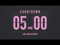 5 Minute Countdown Timer ⏳ Flip Clock with Simple Beeps 💕🖤