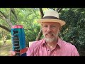 natty daddy beer review by a beer snob s cheap brew review