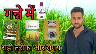 गन्ने में Corogen,Ferterra,Virtako और Shirasagi का सही तरीका और समय।