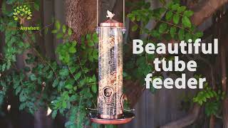 2-in-1 Spiral Bird Feeder by Nature Anywhere