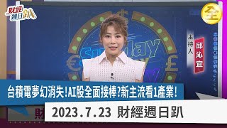 台積電法說變法會，夢幻成長怎消失？AI股全面接棒？新AI新主流看一產業！最新AI機器人現場帶你看！投資金融股三指標，看四金控！一檔租賃股有不太妙？！2023.07.23【財經週日趴 全集】