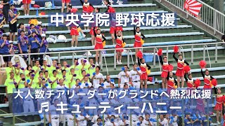 中央学院 野球応援「キューティーハニーのテーマ」大人数チアリーダーがグランドへ熱烈応援！（千葉県高校野球応援2016）