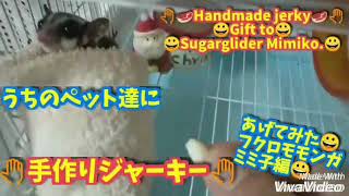 【手作りジャーキー🍖ペットにあげてみた！！フクロモモンガ　三三子編Handmade　jerky Gift to Sugarglider　Mimiko.】 2019年10月20日