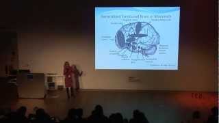 TEDxMerseyside - Dr Chris Shea - The Secrets of Non Verbal Communication
