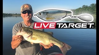 LIVETARGET Commotion Shad Review \u0026 Catching Big Bass!