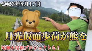 【2023年8月17日尾瀬歩荷】月光仮面の歩荷さんが熊を！尾瀬小屋新プロジェクトもご紹介！