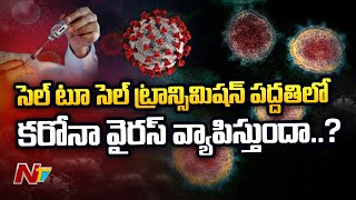 సెల్ టు సెల్ ట్రాన్స్మిషన్ పద్ధతిలో కరోనా వైరస్ వ్యాపిస్తుందా...? | NTV