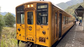 しまんトロッコ列車に乗って四万十川を満喫展望