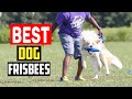 ✅Top 5 Best Dog Frisbees in 2024