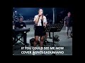 if you could see me now cover agnes sadumiano