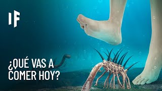 ¿Qué pasaría si vivieras en la era Paleozoica?