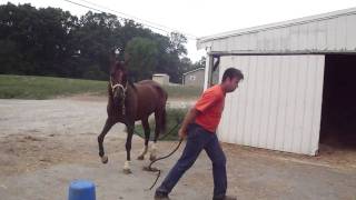 M4H00647.MP4