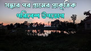 সন্ধার পর গ্রামের প্রাকৃতিক পরিবেশ উপভোগ 🌊 বাংলার প্রাকৃতি