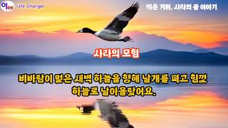 (세번째 영상)작은 거위, 사라의 꿈 이야기. \