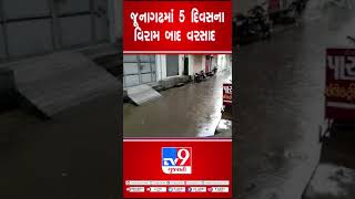 જૂનાગઢમાં 5 દિવસના વિરામ બાદ વરસાદ | Gujarat Rain | Gujarat Weather | TV9GujaratiNews