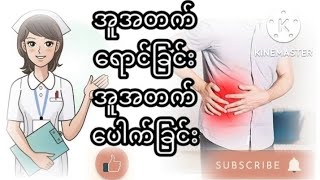 အူအတက်ရောင်ခြင်း၊အူအတက်ပေါက်ခြင်း(Appendicitis)