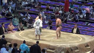 若隆元-高麗の国/2017.7.21(15)/wakatakamoto-komanoumi/day13 #sumo