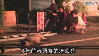 百年花店火災 忠犬命喪黃泉--蘋果日報 20140827