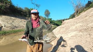 หว่านแห จี่ปลากินในลำห้วย