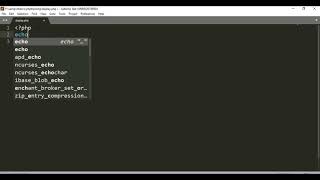print and echo statement in php tutorial #4
