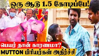 ஒரு ஆடு விலை ஒன்றரை கோடியாம்! பேர கேட்டா Shock ஆயிடுவீங்க! ஆசையாய் வளர்த்தவருக்கு அதிர்ச்சி