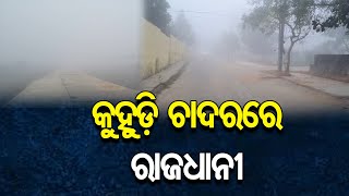 କୁହୁଡ଼ି ଚାଦରରେ ରାଜଧାନୀ | Odisha Reporter