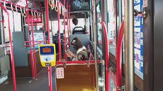 嘉義市國光客運電動公車