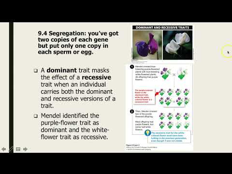 Chapter 9 Part 1 Youtube