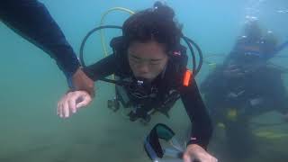 大獅｜香港學潛水｜PADI OW Jun 2021