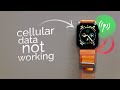 Why is My Cellular Data Not Working on my Apple Watch? (explained)