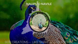 Nalipu O Navile - Tulu Song