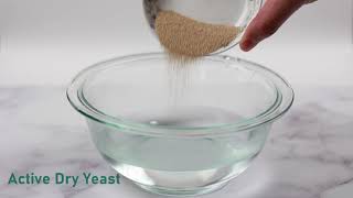 Yeast blooming with Time lapse #shorts