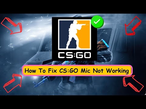How to Fix CS:GO Microphone Not Working Windows 11 Microphone Not Working