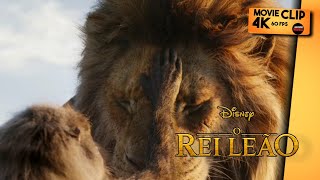 O Nascimento de Simba | O rei leão [ live action ] clip 4k