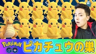 ポケモンＧＯ！ピカチュウの巣！カイリュー厳選(´･ω･｀)