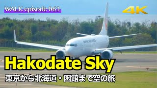 4K【函館空の旅】東京羽田空港〜北海道函館空港へJAL便で空中散歩・搭乗記 / Sky walk on JAL airplane from Hanada Tokyo to Hakodate Japan