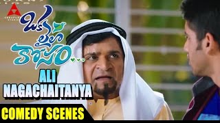 Ali and Nagachaitanya Comedy Scene - Oka Laila Kosam Movie - Naga Chaitanya, Pooja Hegde