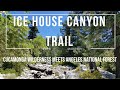 Ice House Canyon Trail Review ANF meets Cucamonga Wilderness Backpacking Day Hiking & Fishing