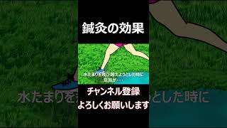 【アニメ】はり・きゅうって効果あるん？#shorts