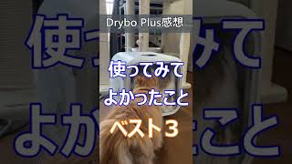 【Drybo Plus】使ってみて良かったことベスト３