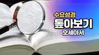 20210428  l  수요 성경 톺아보기 '호세아 강의 1'  l  호1:1-11 ㅣ  말씀 : 박인철 목사