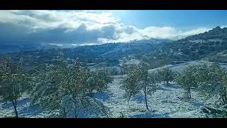 الثلج في ولاية تيزي وزو اليوم 22-01-2023