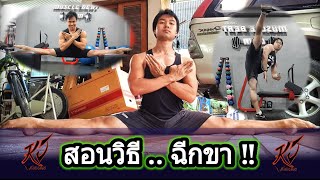 สอนฉีกขา สำหรับคนเริ่มต้น