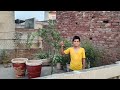 Metti + khaad benifits|| how to use khaad in plant|| best khaad for all plant