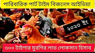 ৩০০ 🐓টাইগার মুরগির বর্তমান লাভ লোকসান হিসাব 🐥কম পুজিতে লাভের ব্যবসা