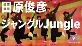 [+81 DANCE STUDIO] 田原俊彦 - ジャングルJungle / Performed by Johnnys' Jr.