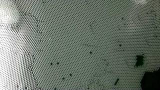 Bubble raft - moving dislocations, Materials Science, Oxford