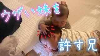 【妹のウザ絡みに無言で耐えるお兄ちゃん😅】2歳＆0歳7ヶ月 Japanese baby