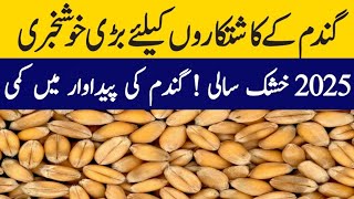 گندم کی امدادی قیمت فائنل اعلان!! wheat support price in punjab pakistan 2025 قومی اسمبلی گندم خبر