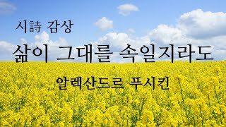 [시 감상] 알렉산드르 푸시킨 - '삶이 그대를 속일지라도'